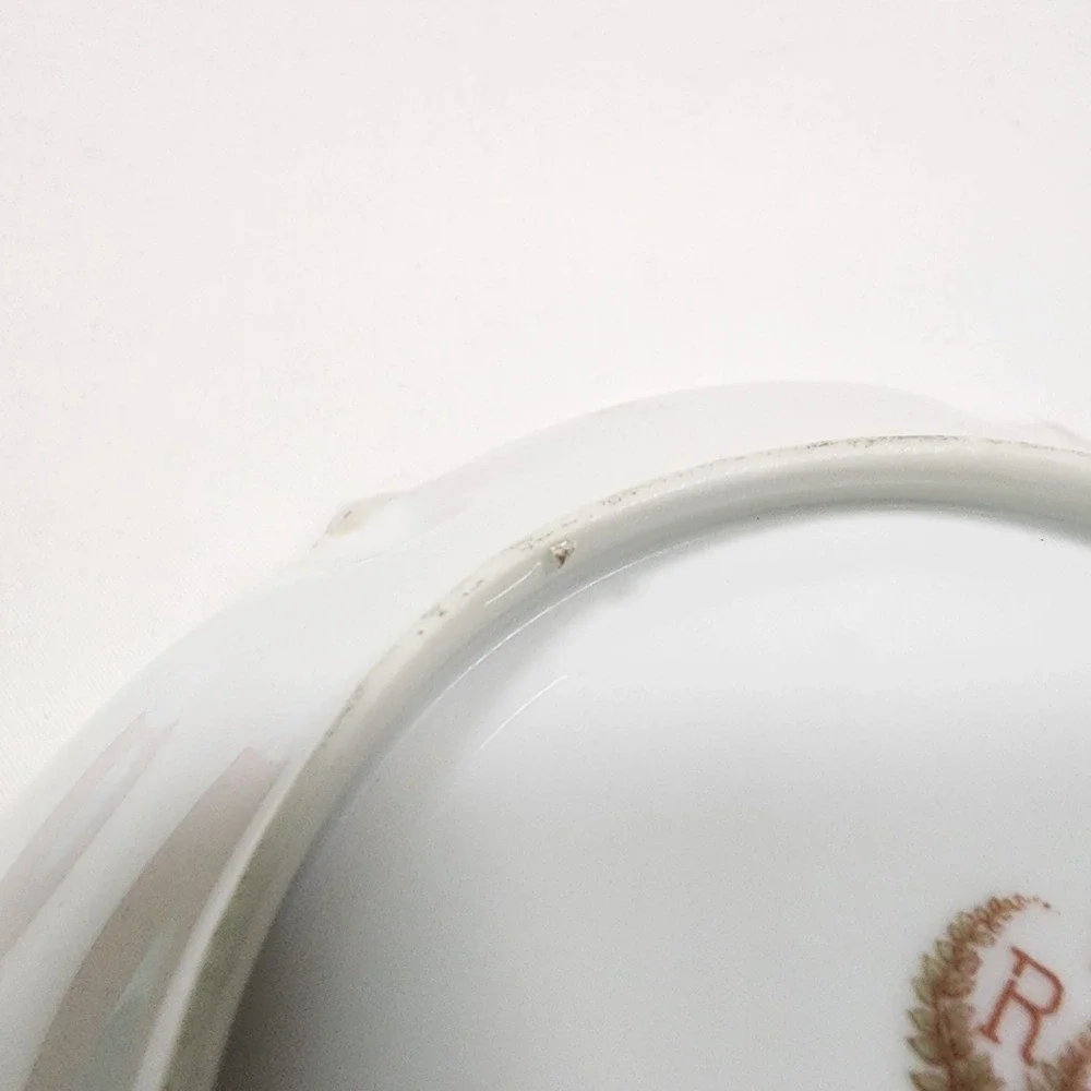 ANTIQUE RS Prussia Scalloped Hand Painted Serving Bowl Iris &‎ Roses Fruit Salad